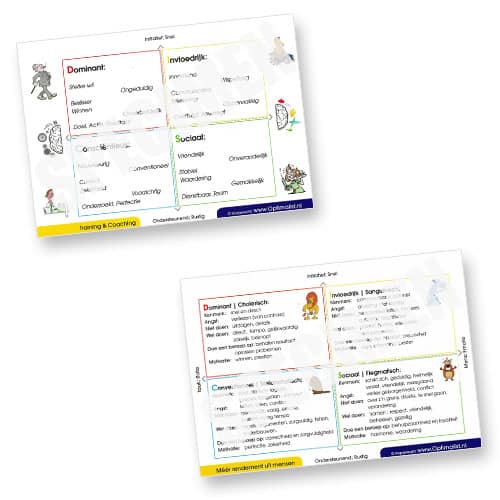 DISC Pocket card