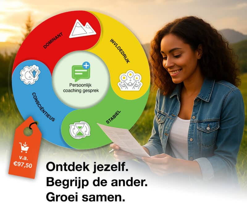 Persoonlijk DISC assessment©
